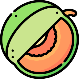 cantaloup-melone icon