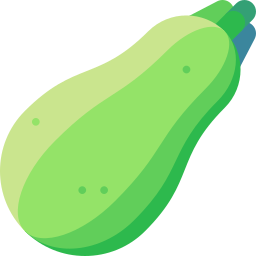 Summer squash icon