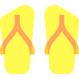 Flip flops icon