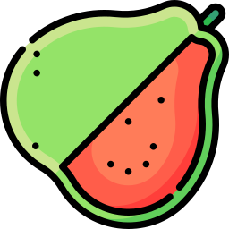 Guava icon