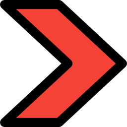 richtiger chevron icon