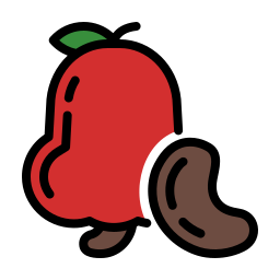 cashew icon