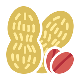 amendoim Ícone