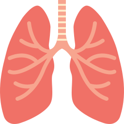 pulmones icono