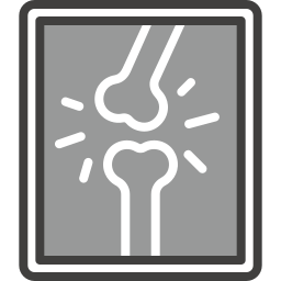 X ray icon