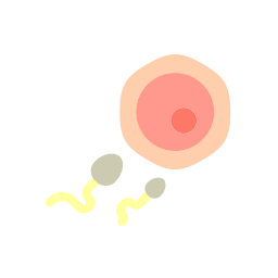 fertilización icono