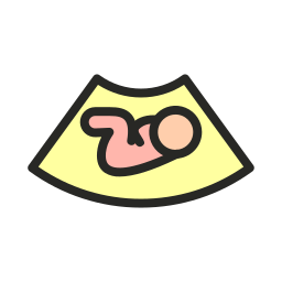 Fetal icon