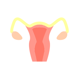 Womb icon
