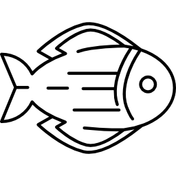 ryba skierowana w prawo ikona