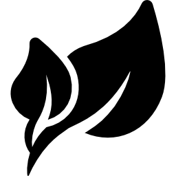 두 잎 icon