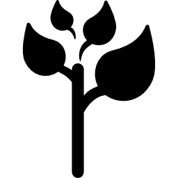 vierblättrige pflanze icon