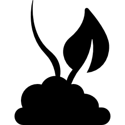 식물 성장 icon