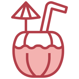 Coconut drink icon