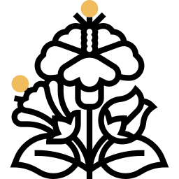 ibisco icona
