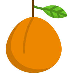 abrikoos icoon
