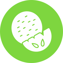 wassermelone icon