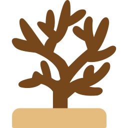 коралловый иконка