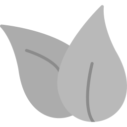 Leaf icon