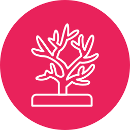 Coral icon