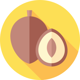 Sapodilla icon