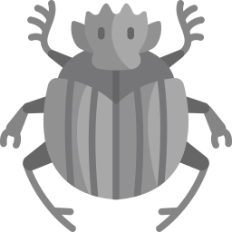 Scarab icon