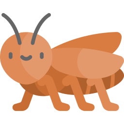 Cockroach icon