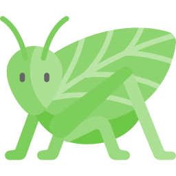 katydid icona