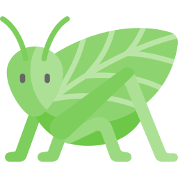 katydide Icône