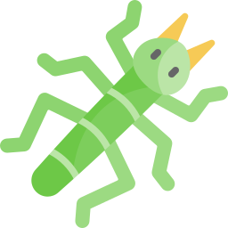 Stick insect icon