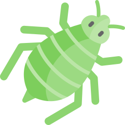 Aphid icon