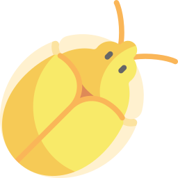 scarabeo tartaruga d'oro icona