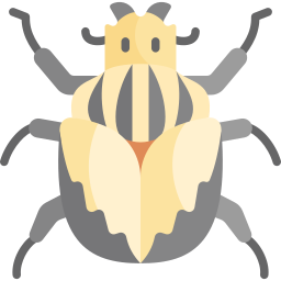 ゴライアスカブトムシ icon