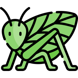 Katydid icon