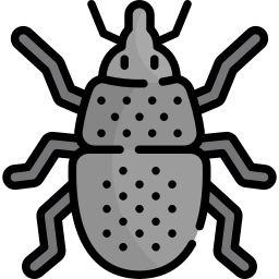 kornkäfer icon