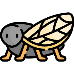 Cicada icon