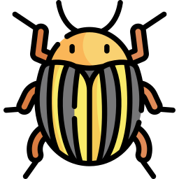 감자 딱정벌레 icon
