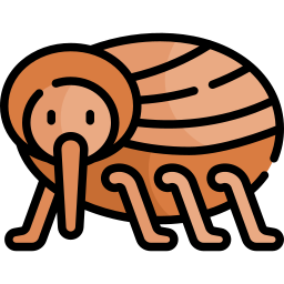 Acorn weevil icon