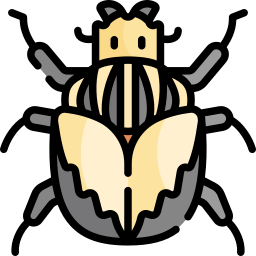 escarabajo goliat icono