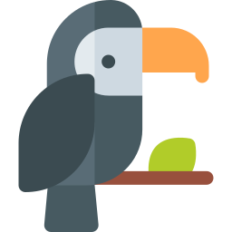 Toucan icon