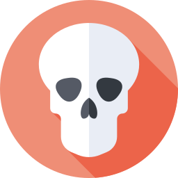 Skull icon