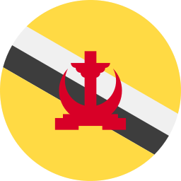 brunei icoon