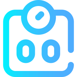 Scale icon