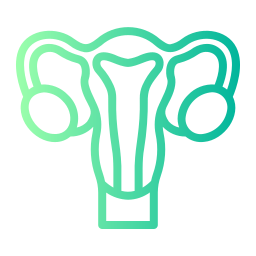 uterus icon