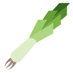 Leek icon