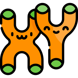 cromosoma icono