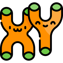 chromosom icon