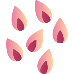 Flower petals icon