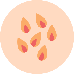 Лепестки цветка иконка