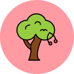 wiśniowe drzewo ikona