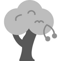 체리 나무 icon
